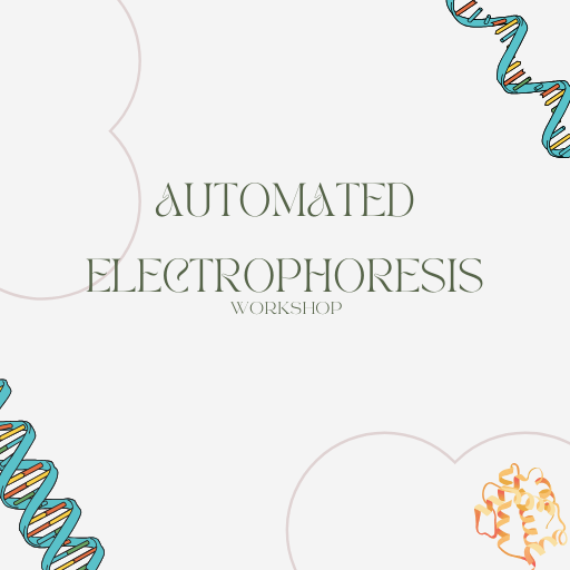 Automated Electrophoresis Workshop (DNA/RNA/Protein)